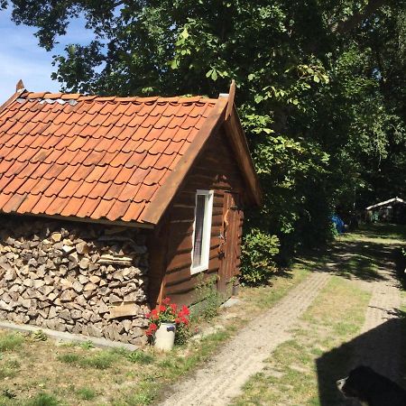 Landelijk Gelegen Huisje Op Erf Veeningen Eksteriør billede