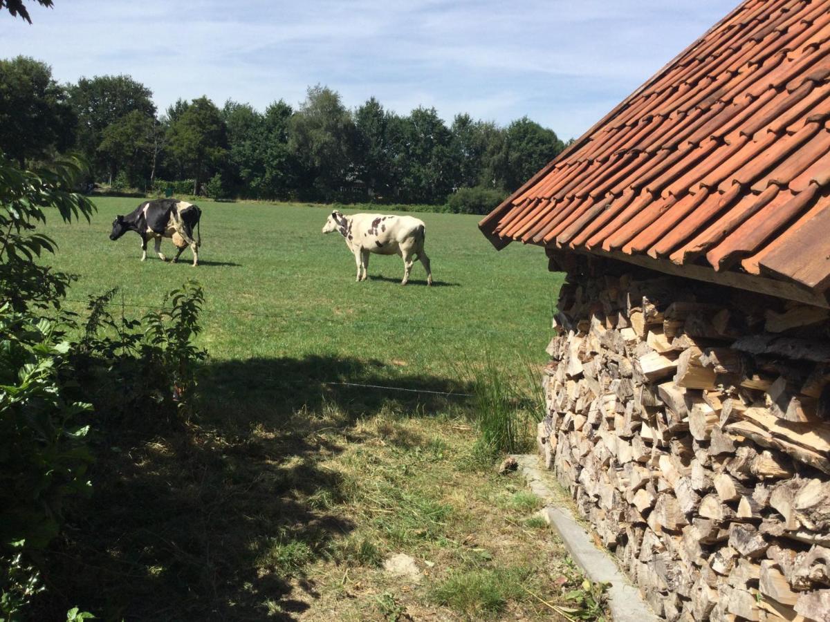 Landelijk Gelegen Huisje Op Erf Veeningen Eksteriør billede